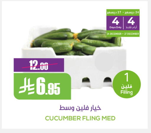 Cucumber available at سبت in مملكة العربية السعودية, السعودية, سعودية - بريدة