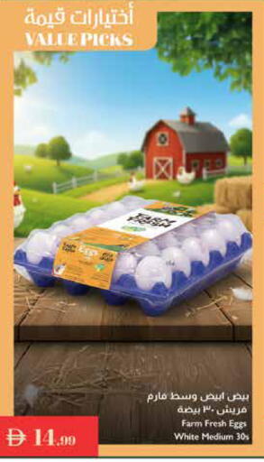 available at إسطنبول سوبرماركت in الإمارات العربية المتحدة , الامارات - ٱلْعَيْن‎