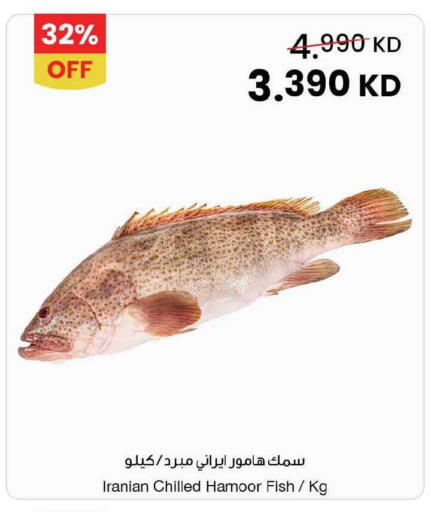 available at مركز سلطان in الكويت - محافظة الأحمدي