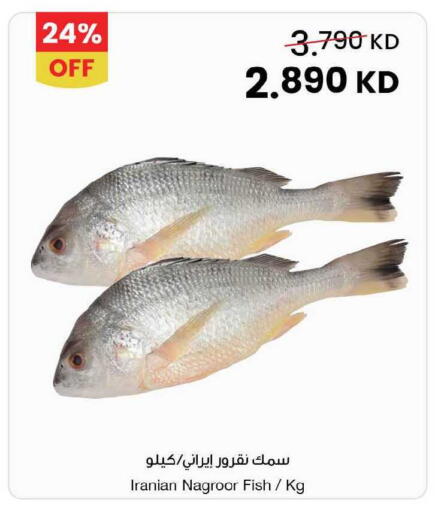 available at مركز سلطان in الكويت - محافظة الجهراء