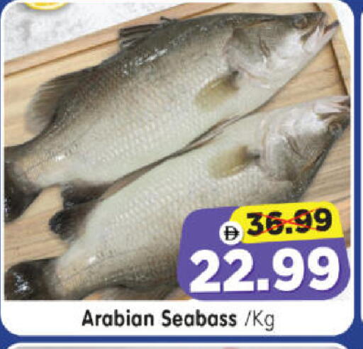 available at هايبر ماركت المدينة in الإمارات العربية المتحدة , الامارات - أبو ظبي