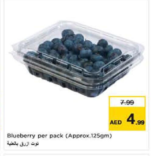 Blueberry BlueBerry available at نستو هايبرماركت in الإمارات العربية المتحدة , الامارات - ٱلْفُجَيْرَة‎