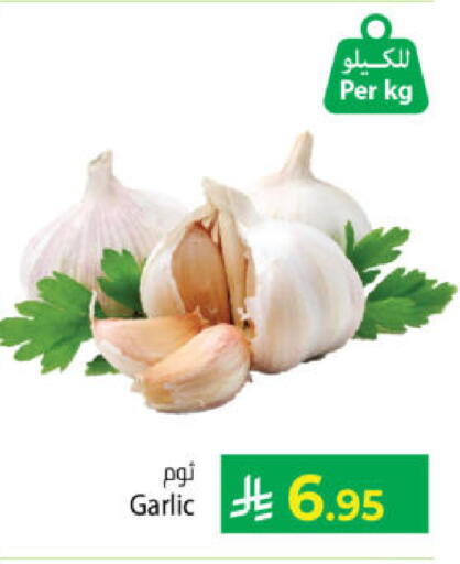 Garlic available at Kabayan Hypermarket in KSA, Saudi Arabia, Saudi - Yanbu