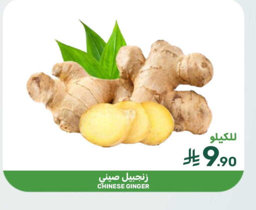 Ginger available at Mazaya in KSA, Saudi Arabia, Saudi - Qatif