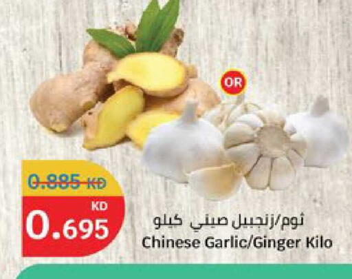 Garlic Ginger from China available at سيتي هايبرماركت in الكويت - محافظة الأحمدي
