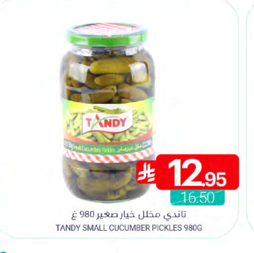 Cucumber available at Muntazah Markets in KSA, Saudi Arabia, Saudi - Saihat