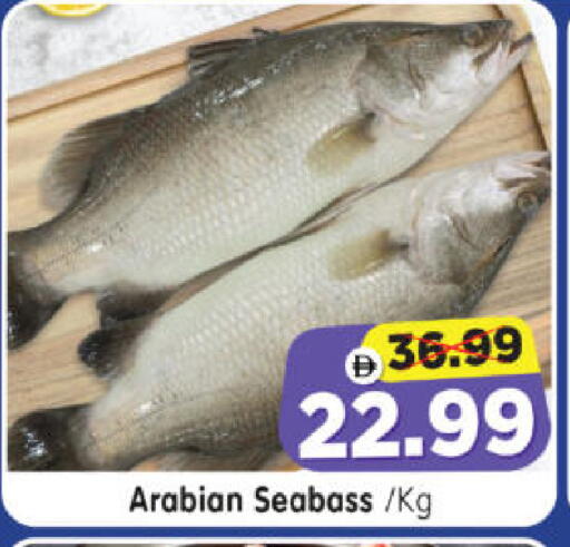 available at هايبر ماركت المدينة in الإمارات العربية المتحدة , الامارات - أبو ظبي