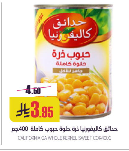 available at Sapt in KSA, Saudi Arabia, Saudi - Buraidah