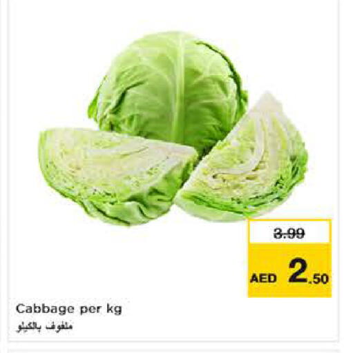 Cabbage available at نستو هايبرماركت in الإمارات العربية المتحدة , الامارات - ٱلْعَيْن‎