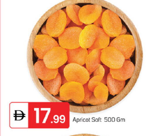 Apricot available at سوق طلال in الإمارات العربية المتحدة , الامارات - ٱلْفُجَيْرَة‎