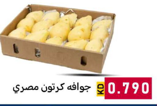 available at شركة سوق ميم المركزي  in الكويت - محافظة الجهراء