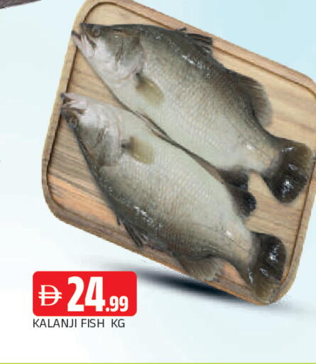 available at AL MADINA in UAE - Sharjah / Ajman