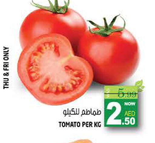 Tomato available at هاشم هايبرماركت in الإمارات العربية المتحدة , الامارات - الشارقة / عجمان