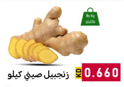 available at شركة سوق ميم المركزي  in الكويت - محافظة الأحمدي