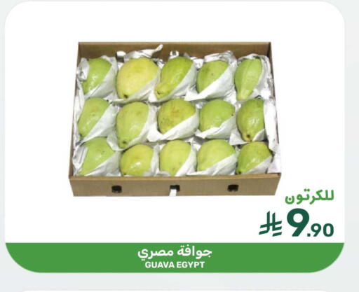 Guava from Egypt available at Mazaya in KSA, Saudi Arabia, Saudi - Qatif