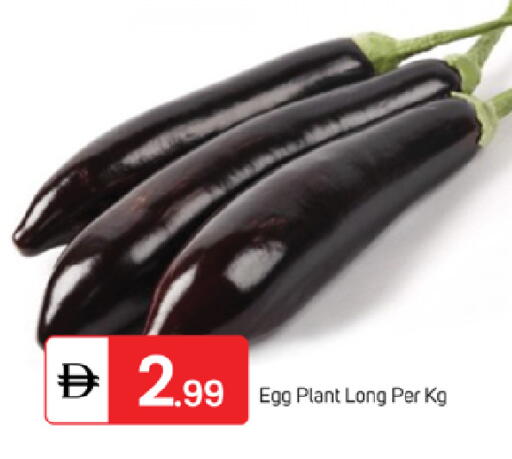 available at سوق طلال in الإمارات العربية المتحدة , الامارات - ٱلْفُجَيْرَة‎