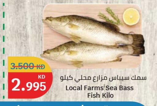 available at سيتي هايبرماركت in الكويت - محافظة الأحمدي