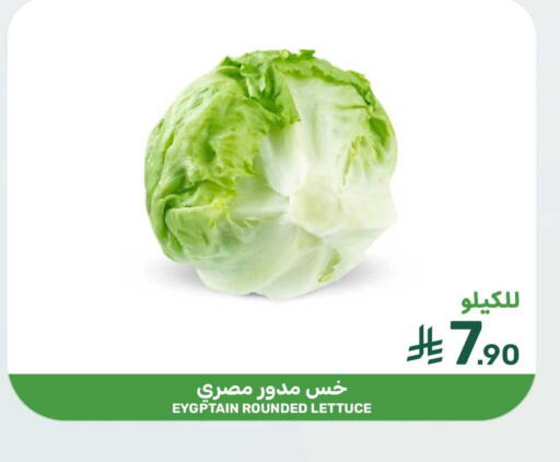 Lettuce available at Mazaya in KSA, Saudi Arabia, Saudi - Qatif
