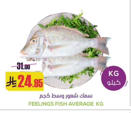 available at سبت in مملكة العربية السعودية, السعودية, سعودية - بريدة