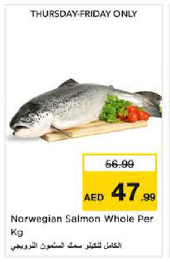 available at نستو هايبرماركت in الإمارات العربية المتحدة , الامارات - أبو ظبي