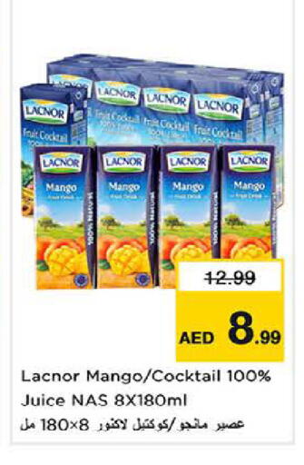 Mango available at لاست تشانس in الإمارات العربية المتحدة , الامارات - ٱلْفُجَيْرَة‎