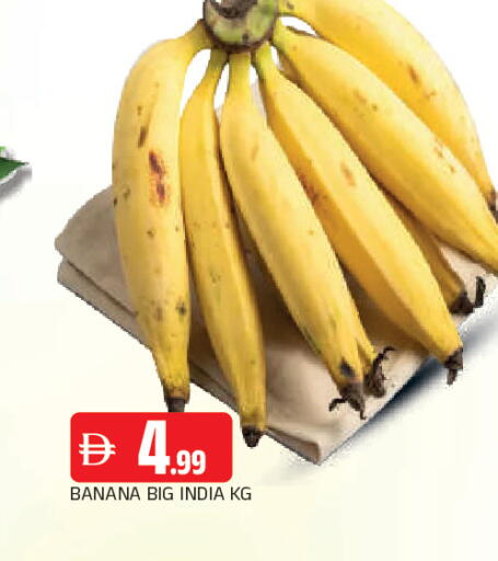 Banana from India available at المدينة in الإمارات العربية المتحدة , الامارات - الشارقة / عجمان
