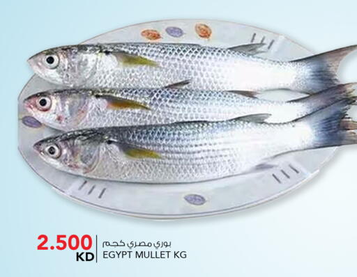 available at النصر هايبر ماركت in الكويت - مدينة الكويت