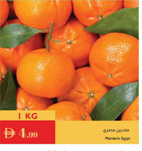 Mandarin from Egypt available at إسطنبول سوبرماركت in الإمارات العربية المتحدة , الامارات - ٱلْعَيْن‎