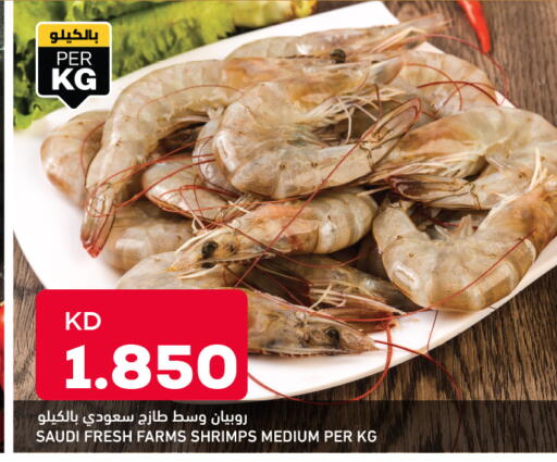 available at أونكوست in الكويت - مدينة الكويت