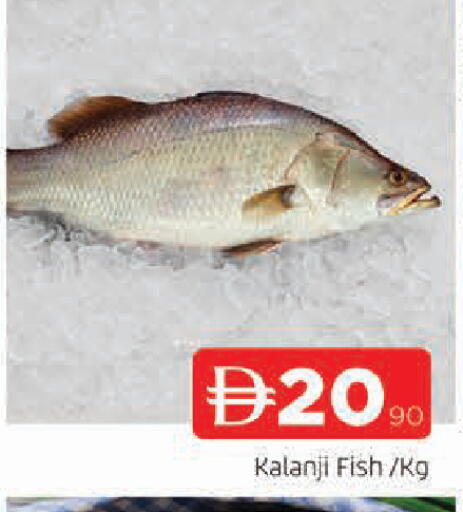 available at AL MADINA in UAE - Sharjah / Ajman