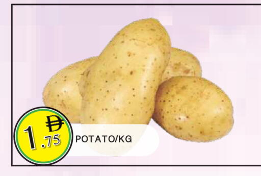 Potato available at AL MADINA in UAE - Sharjah / Ajman
