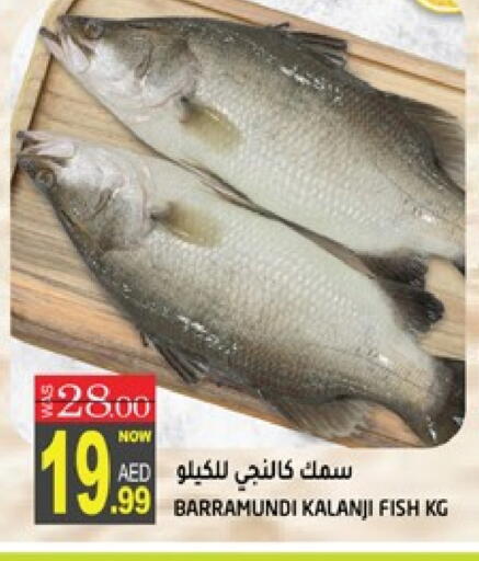 available at هاشم هايبرماركت in الإمارات العربية المتحدة , الامارات - الشارقة / عجمان