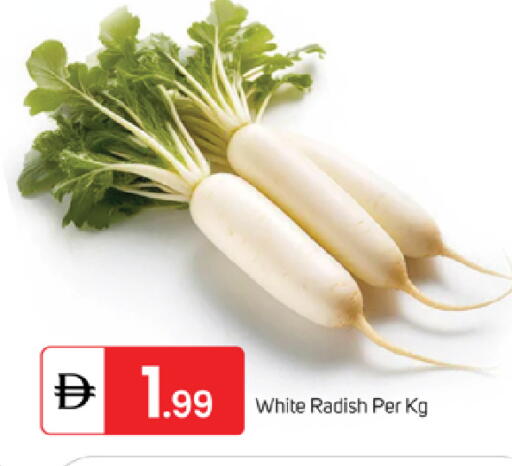 Radish available at سوق طلال in الإمارات العربية المتحدة , الامارات - ٱلْفُجَيْرَة‎