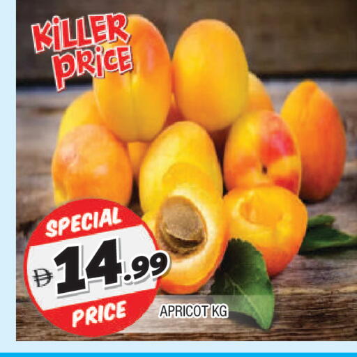 Apricot available at المدينة in الإمارات العربية المتحدة , الامارات - الشارقة / عجمان