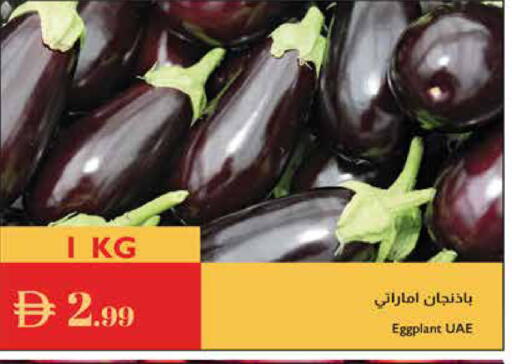 Eggplant available at إسطنبول سوبرماركت in الإمارات العربية المتحدة , الامارات - الشارقة / عجمان
