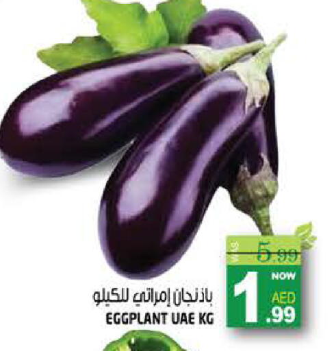 Eggplant available at هاشم هايبرماركت in الإمارات العربية المتحدة , الامارات - الشارقة / عجمان
