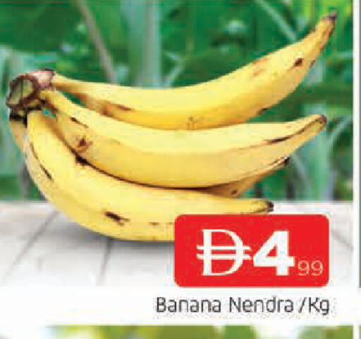 Banana available at المدينة in الإمارات العربية المتحدة , الامارات - الشارقة / عجمان