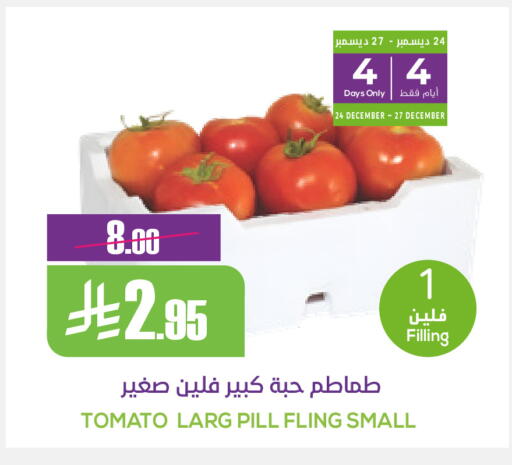 Tomato available at سبت in مملكة العربية السعودية, السعودية, سعودية - بريدة