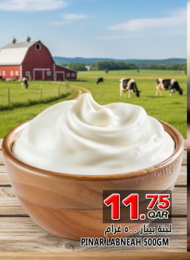 available at قصر الأغذية هايبرماركت in قطر - أم صلال