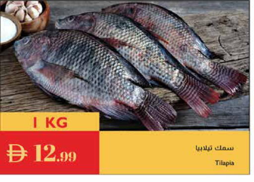 available at إسطنبول سوبرماركت in الإمارات العربية المتحدة , الامارات - الشارقة / عجمان