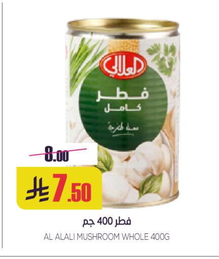 Mushroom available at Sapt in KSA, Saudi Arabia, Saudi - Buraidah