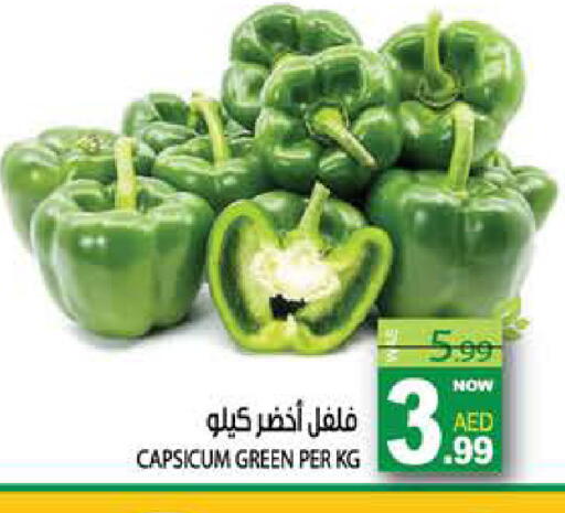 Capsicum available at هاشم هايبرماركت in الإمارات العربية المتحدة , الامارات - الشارقة / عجمان