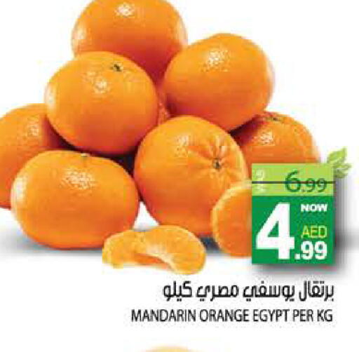 Mandarin Orange from Egypt available at هاشم هايبرماركت in الإمارات العربية المتحدة , الامارات - الشارقة / عجمان