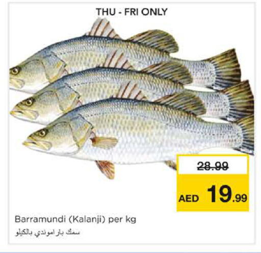 available at نستو هايبرماركت in الإمارات العربية المتحدة , الامارات - الشارقة / عجمان