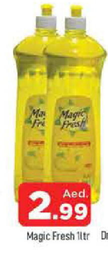 available at المدينة in الإمارات العربية المتحدة , الامارات - الشارقة / عجمان