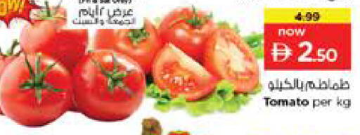 Tomato available at نستو هايبرماركت in الإمارات العربية المتحدة , الامارات - الشارقة / عجمان