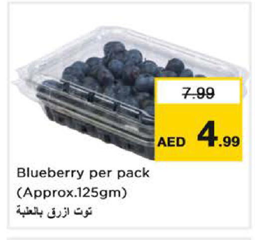 Blueberry BlueBerry available at Nesto Hypermarket in UAE - Dubai