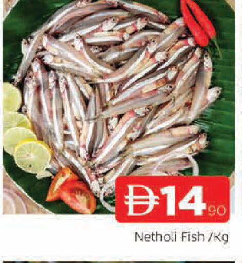 available at AL MADINA in UAE - Sharjah / Ajman