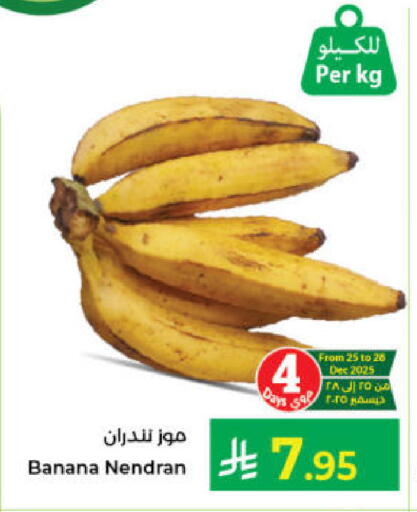 Banana available at كبايان هايبرماركت in مملكة العربية السعودية, السعودية, سعودية - جدة