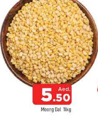 available at المدينة in الإمارات العربية المتحدة , الامارات - الشارقة / عجمان